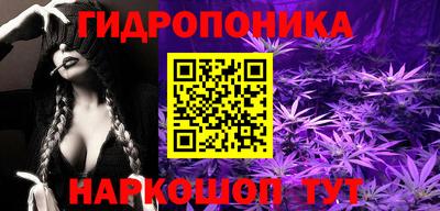 Альфа ПВП Будённовск